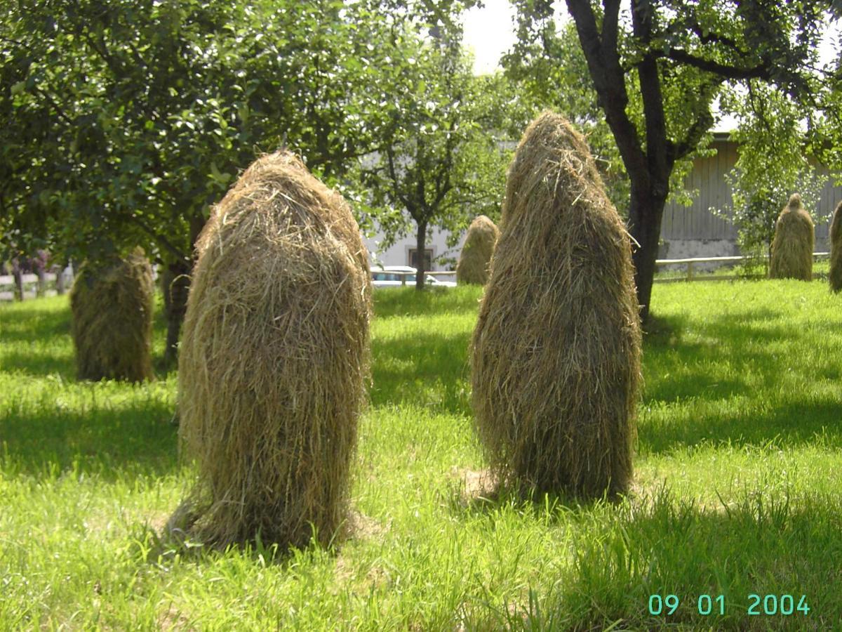 Ferienhaus Stoanerhof Fugen Bagian luar foto